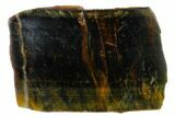 Polished Tiger's Eye Section - South Africa #148265-1